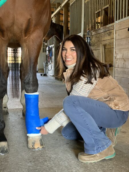 equine surgery and wound care