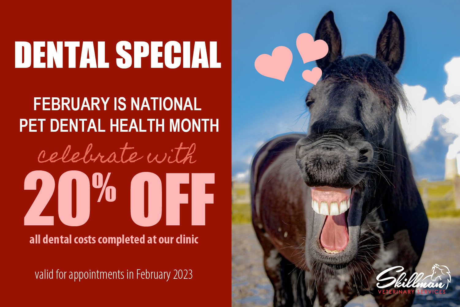 DENTAL SPECIAL 20% OFF at our clinic!