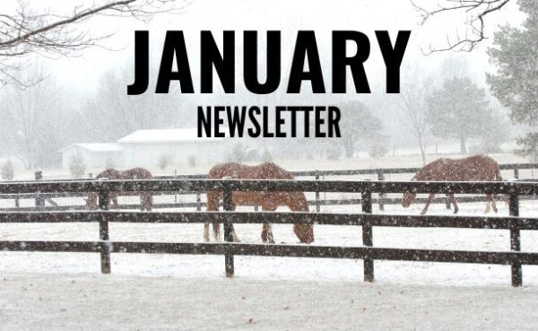 Skillman veterinary services January newsletter
