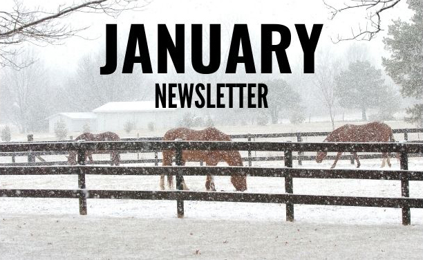 January 2024 Newsletter