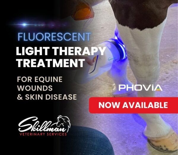 FLUORESCENT LIGHT THERAPY TREATMENT FOR HORSE WOUNDS AND SKIN DISEASE PHOVIA FLUORESCENT LIGHT THERAPY