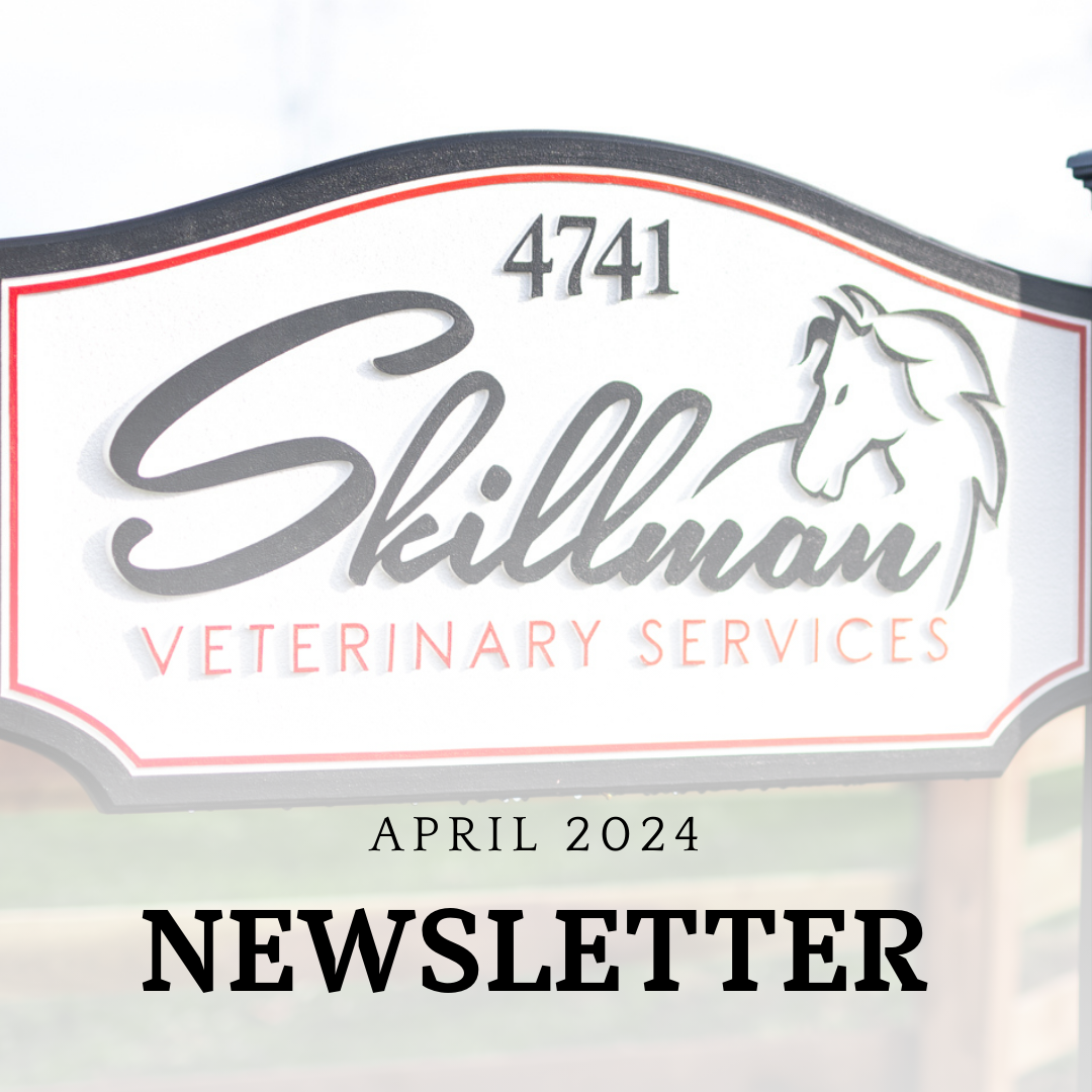 April 2024 Newsletter