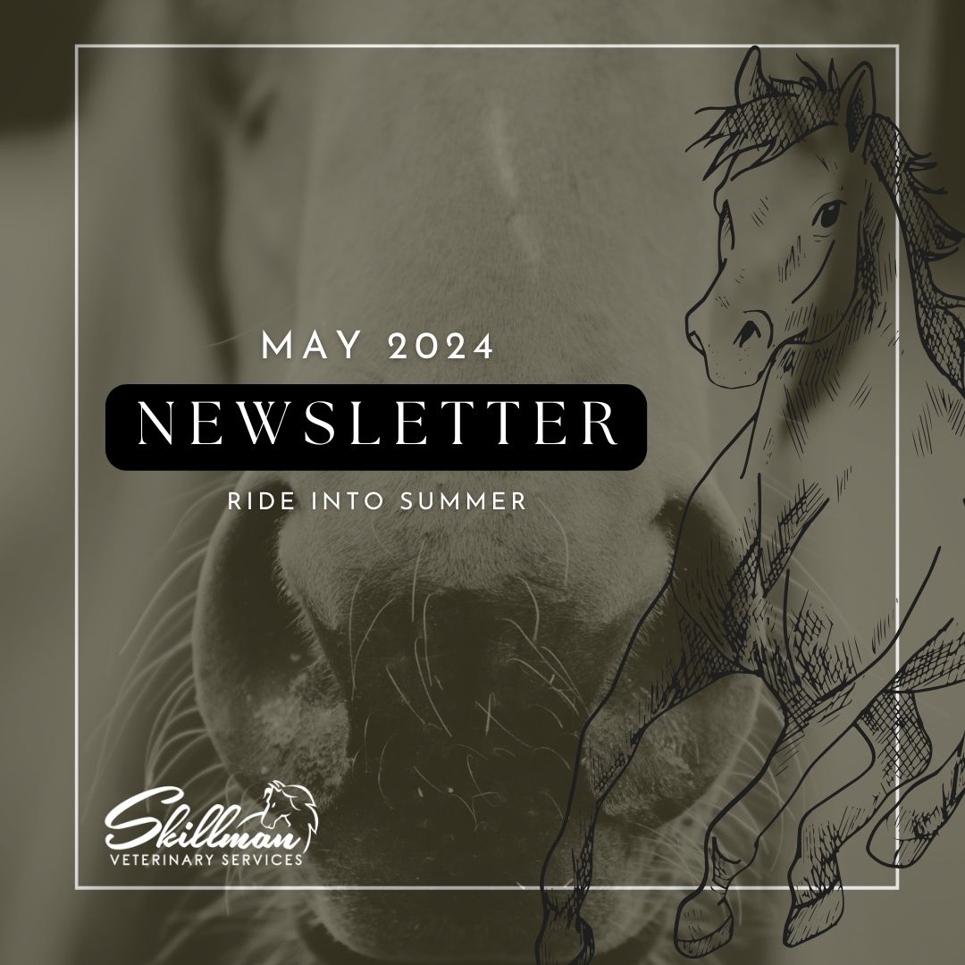 May 2024 Newsletter