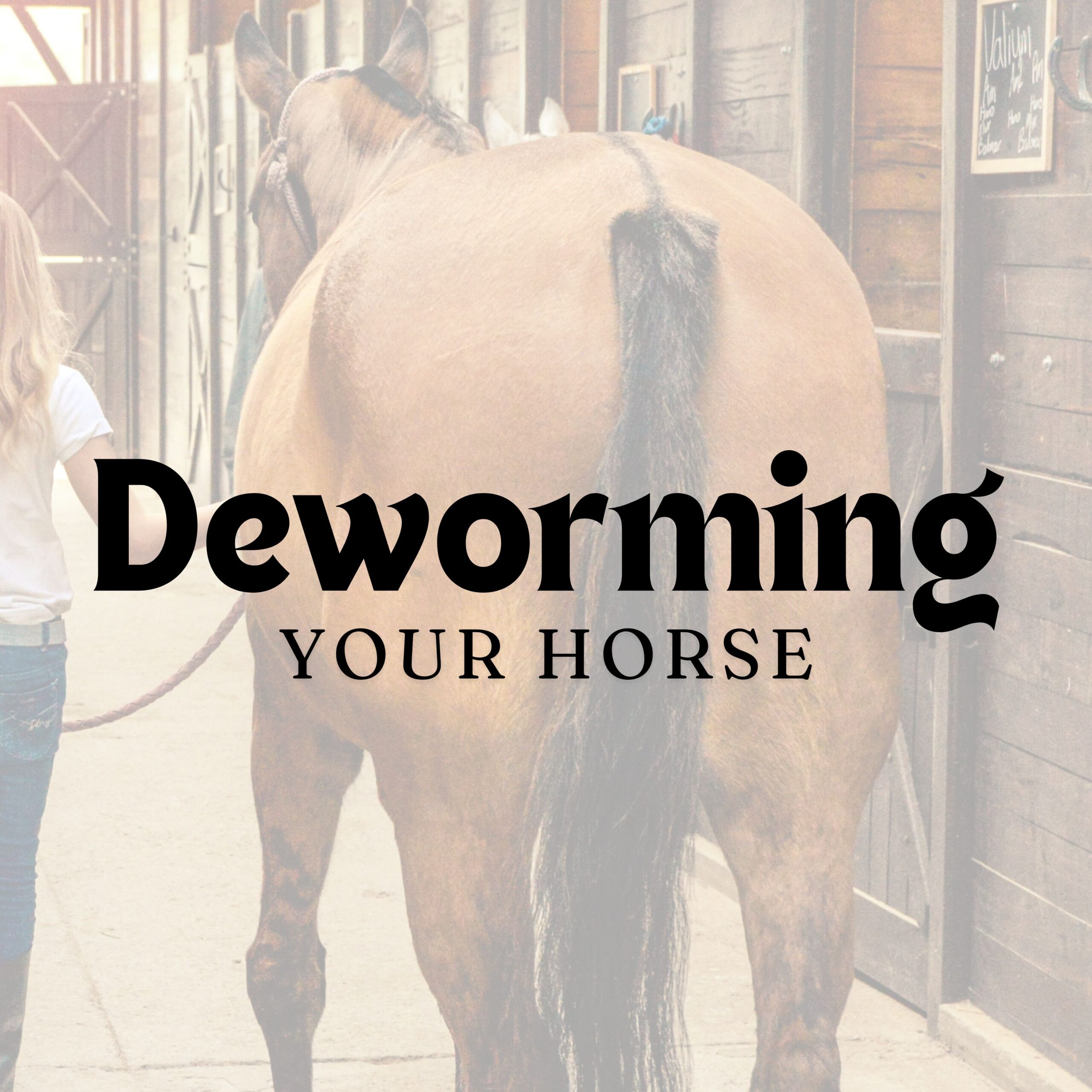 Deworming Horses and Fecal Tests