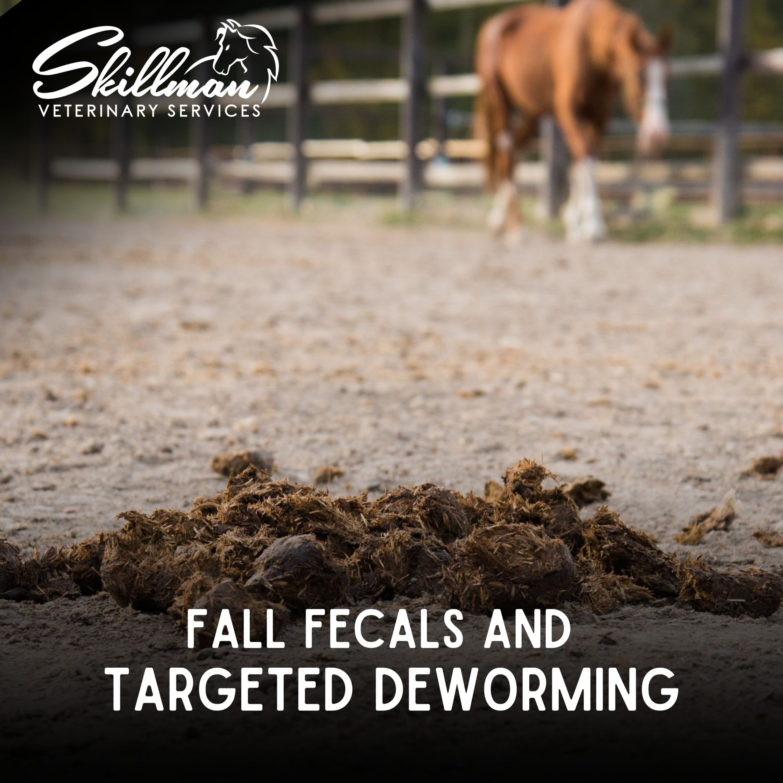 Fall Fecal Testing and Targeted Deworming for Horses