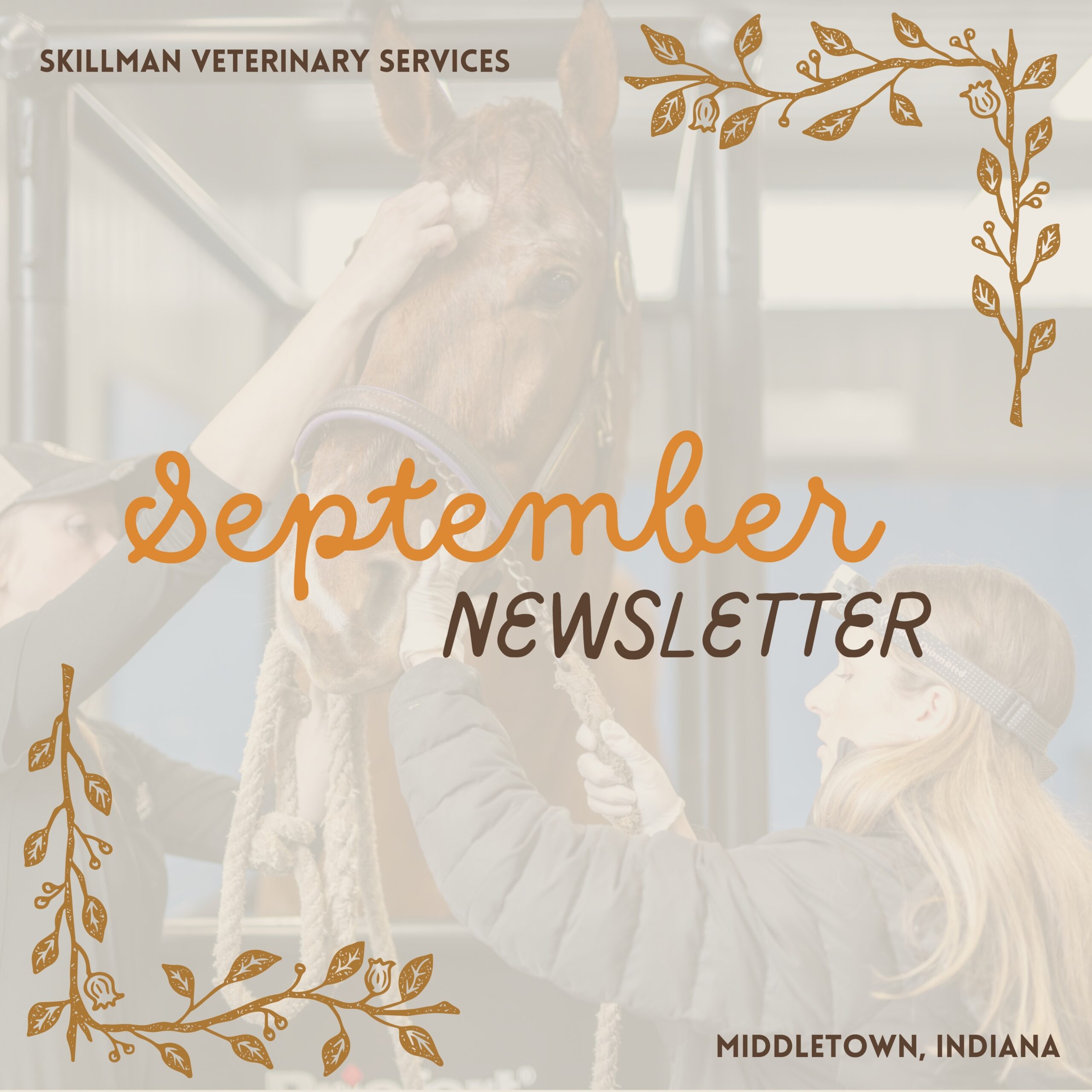 September Newsletter