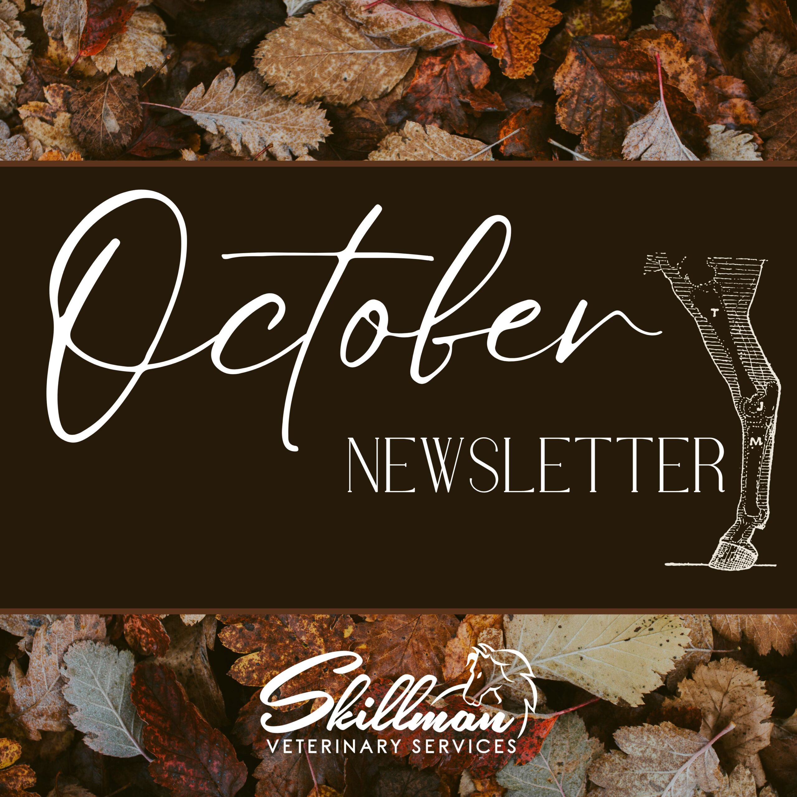 October Newsletter