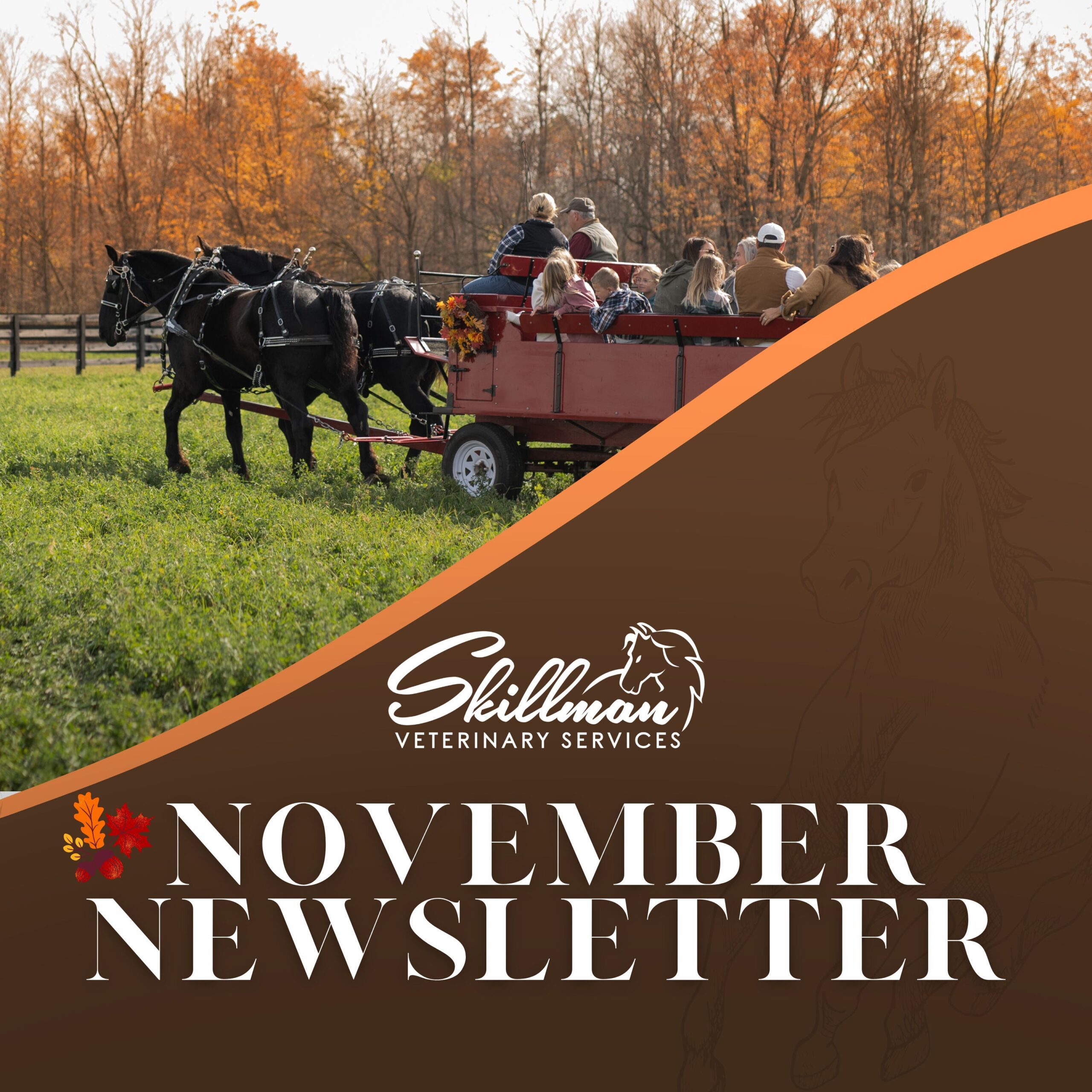 November Newsletter