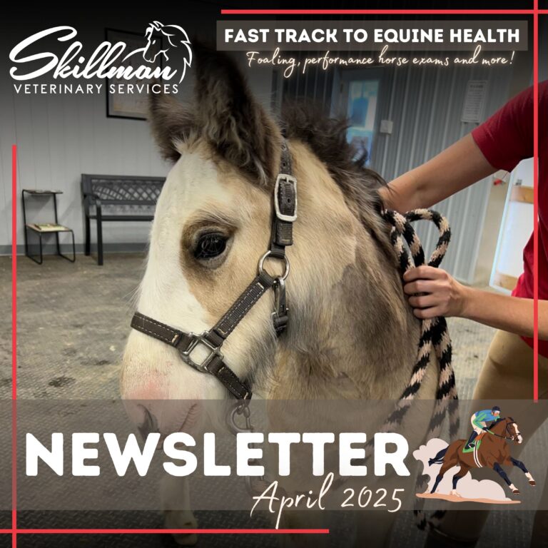 April Newsletter