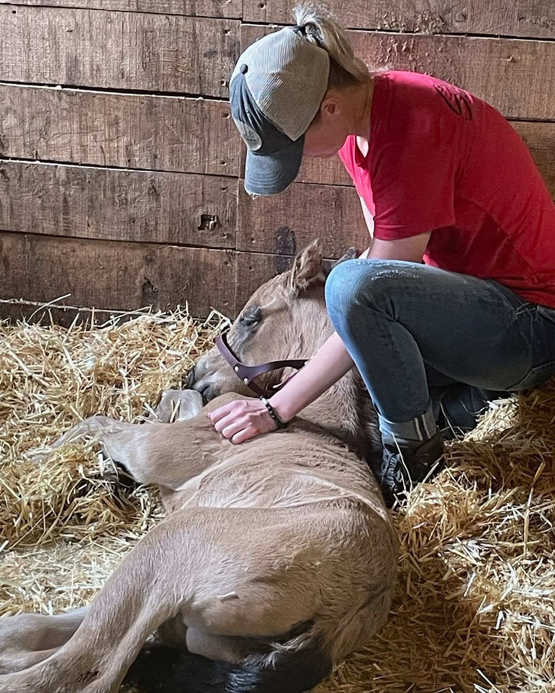 Foaling Kit