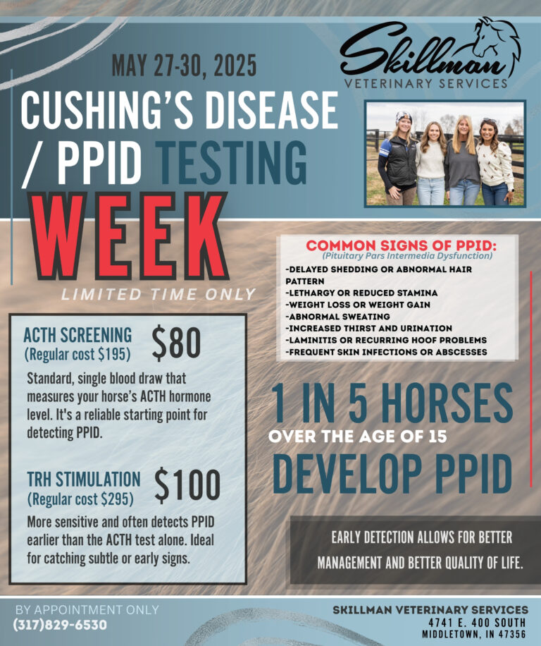 PPID / Cushing’s Disease Testing Week is Here!
