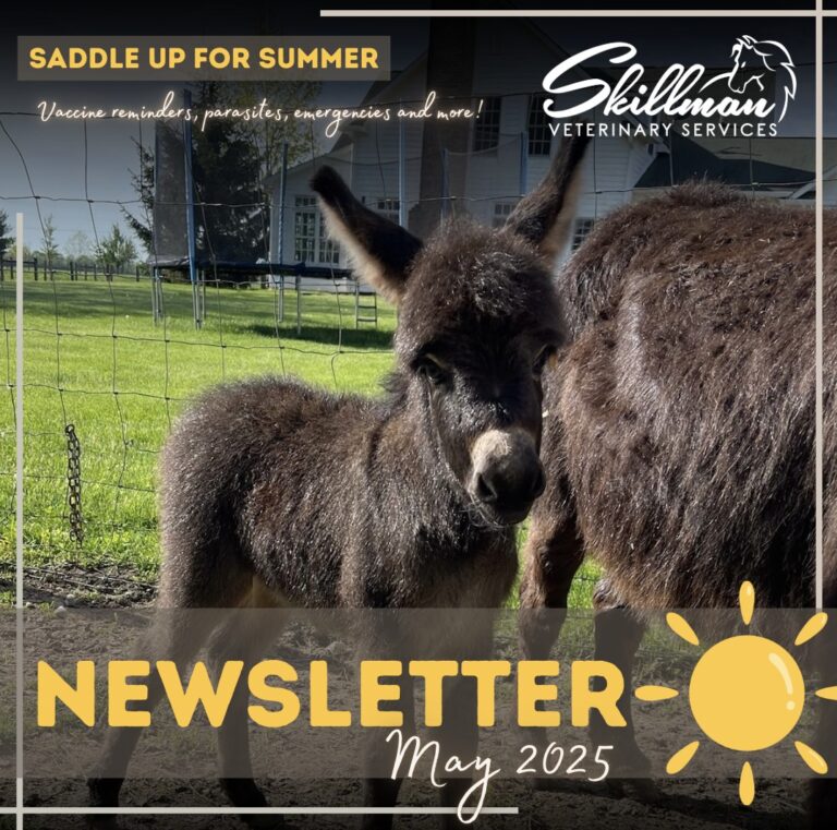 May Newsletter
