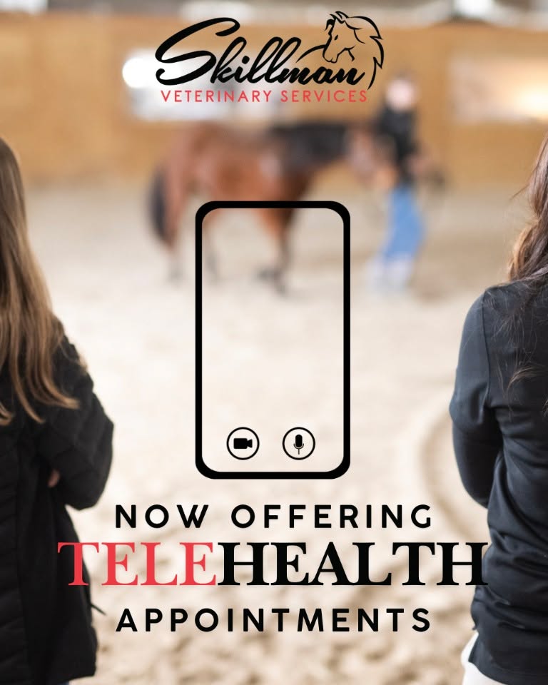 Telehealth At Skillman Veterinary Services