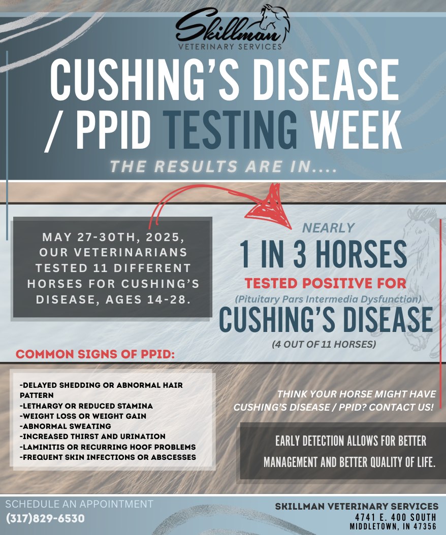1 in 3 Horses Tested Positive; Cushing’s Disease Findings