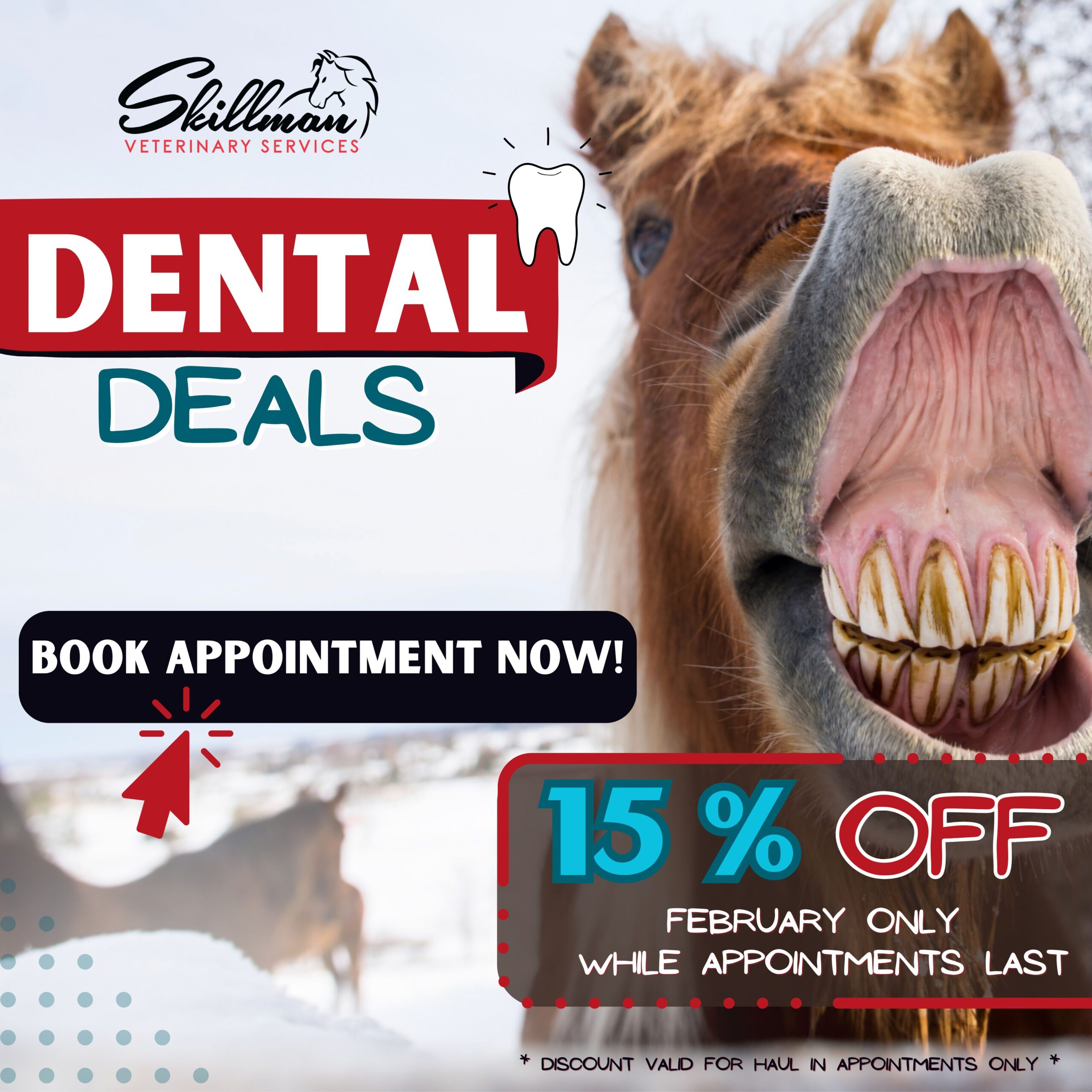 15% Off Dental Deal – February Only