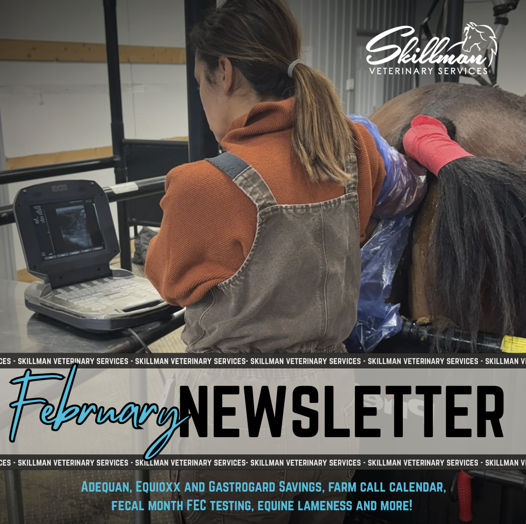 February Newsletter