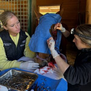 565205916_1213982407419806_2024046162585027436_n