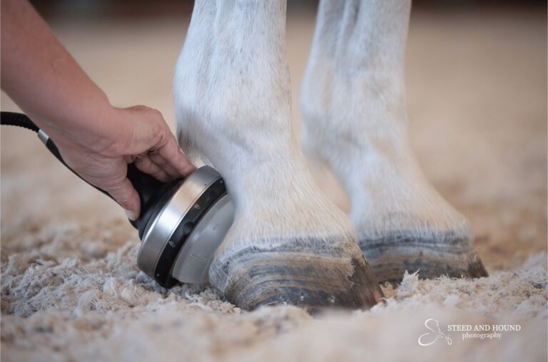 Shockwave now at Skillman Vet!