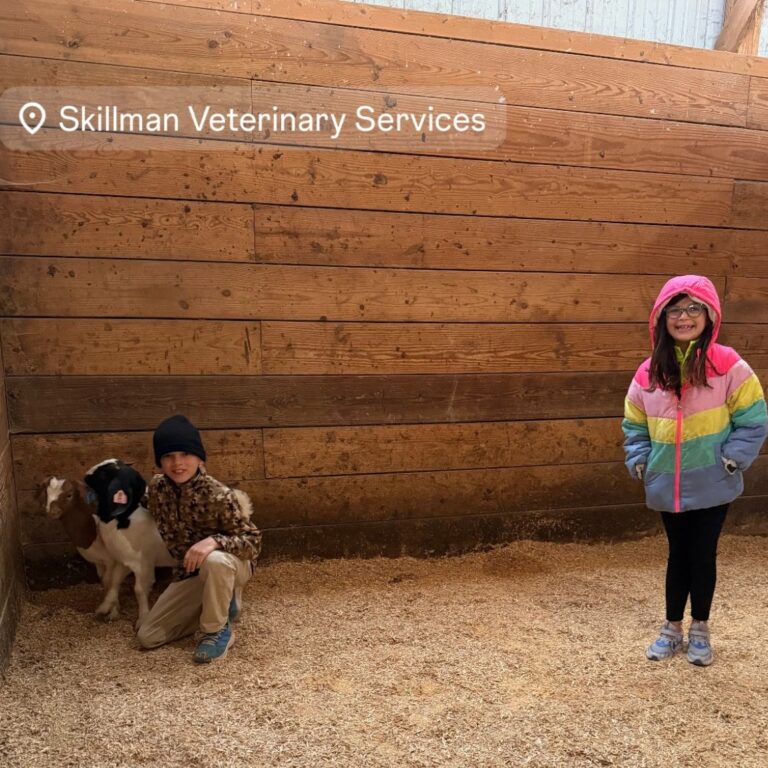 4-H Members and The Relationship with Their Vet