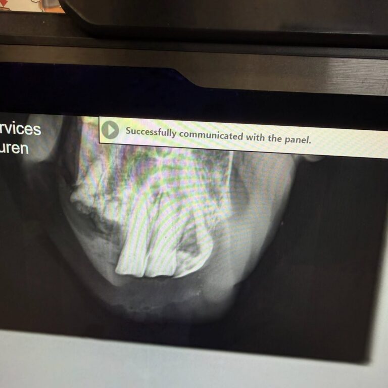 The Importance of Dental Radiographs