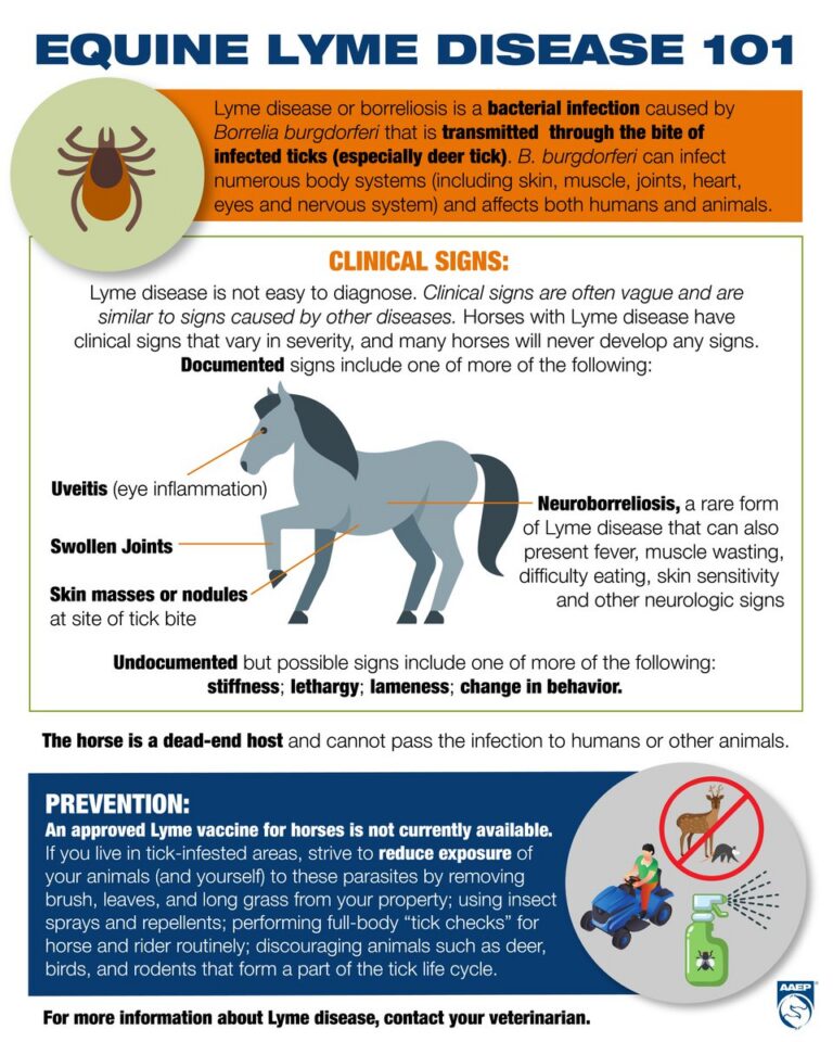 Creepy, Crawly, Ticks!
