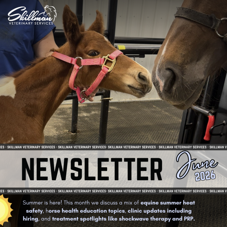 June Newsletter