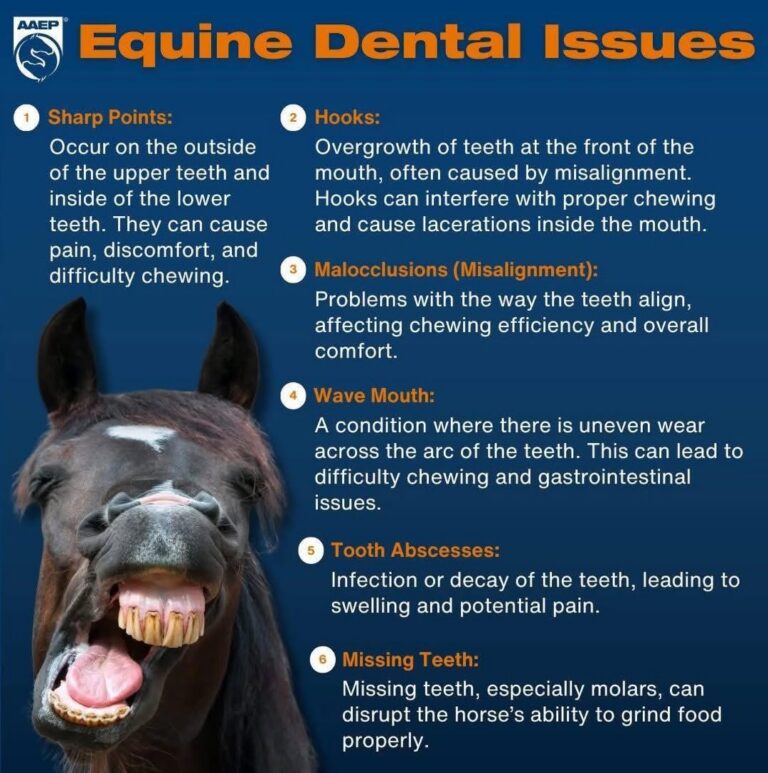 Dental Reminder