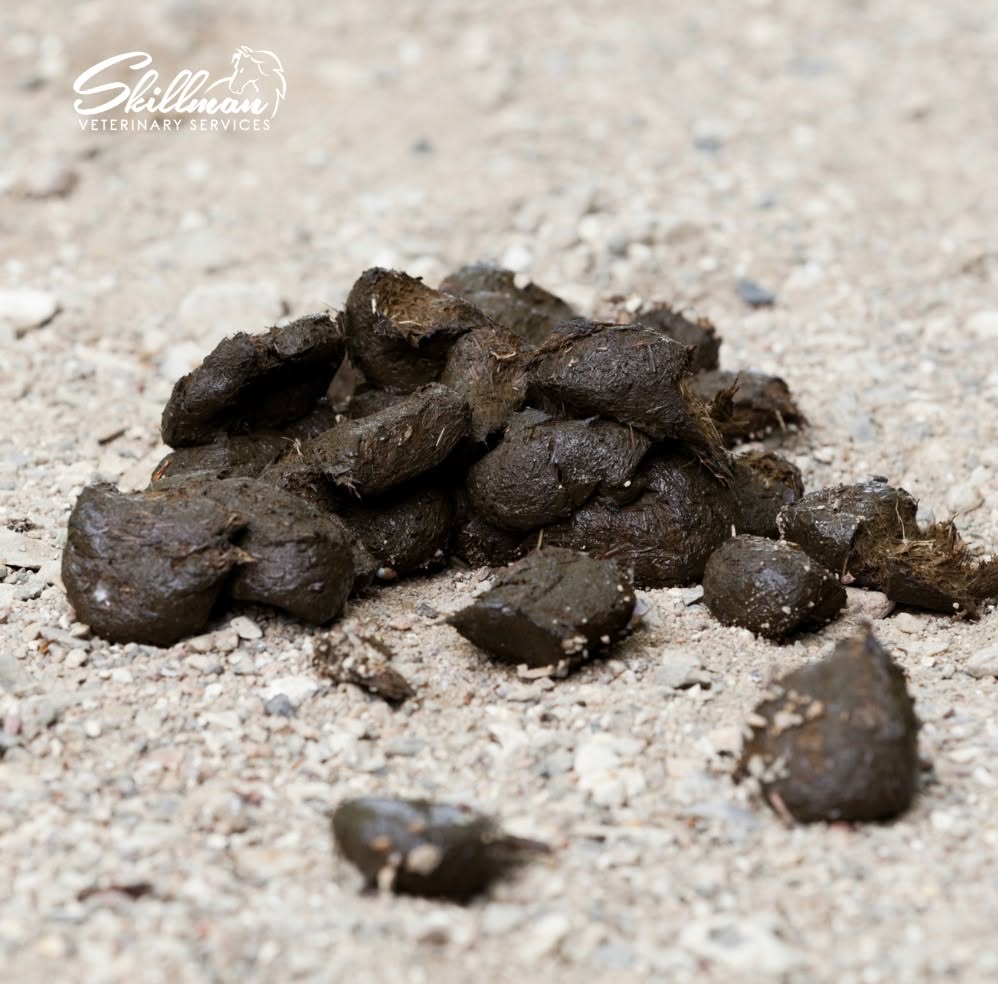 Targeted Deworming – Fecal Egg Count Testing