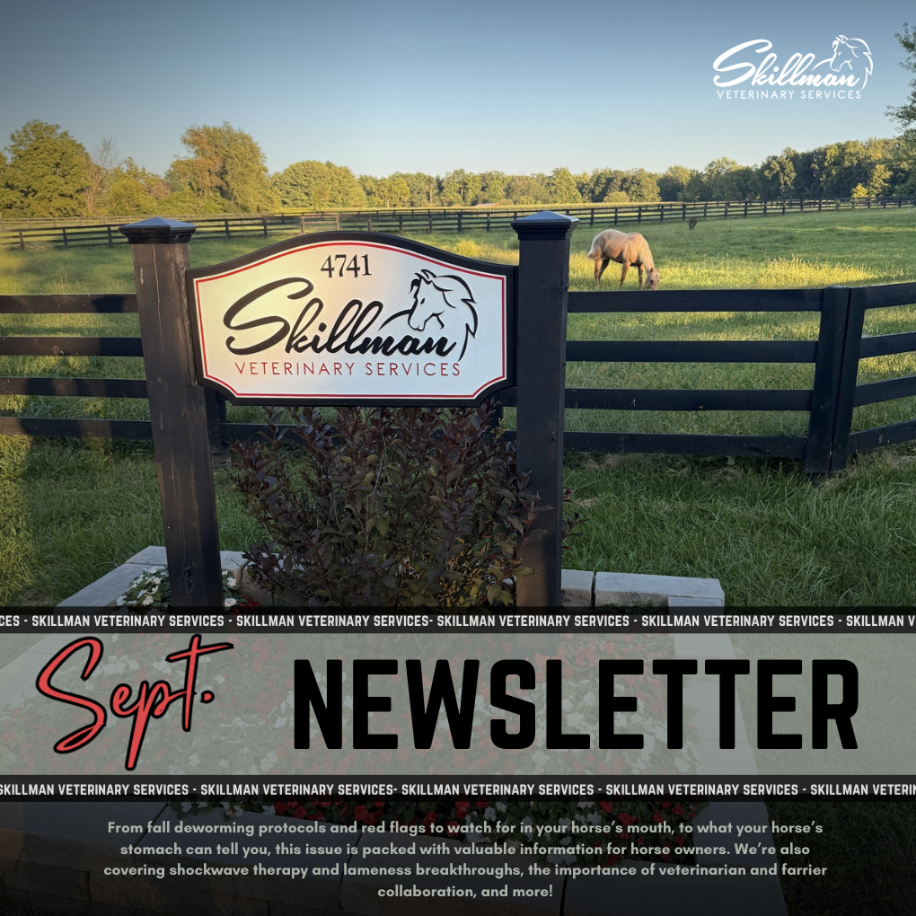 September Newsletter
