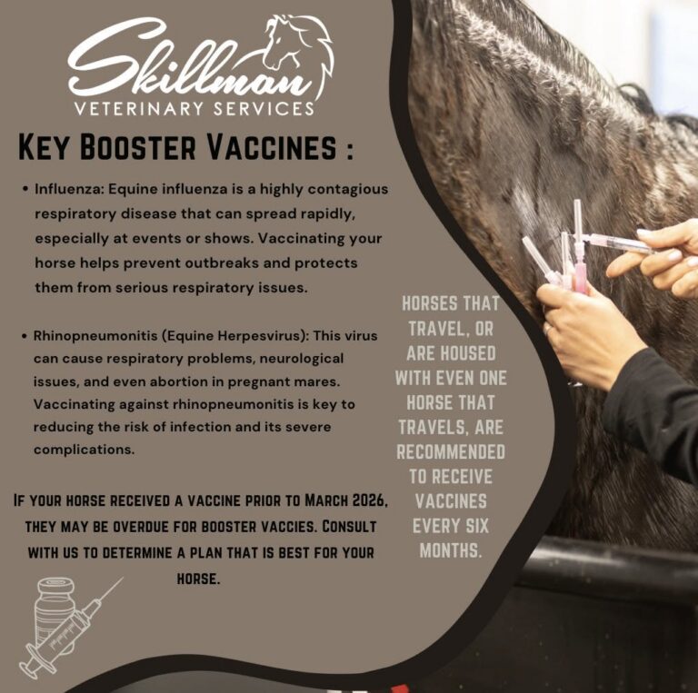 Key Booster Fall Vaccines
