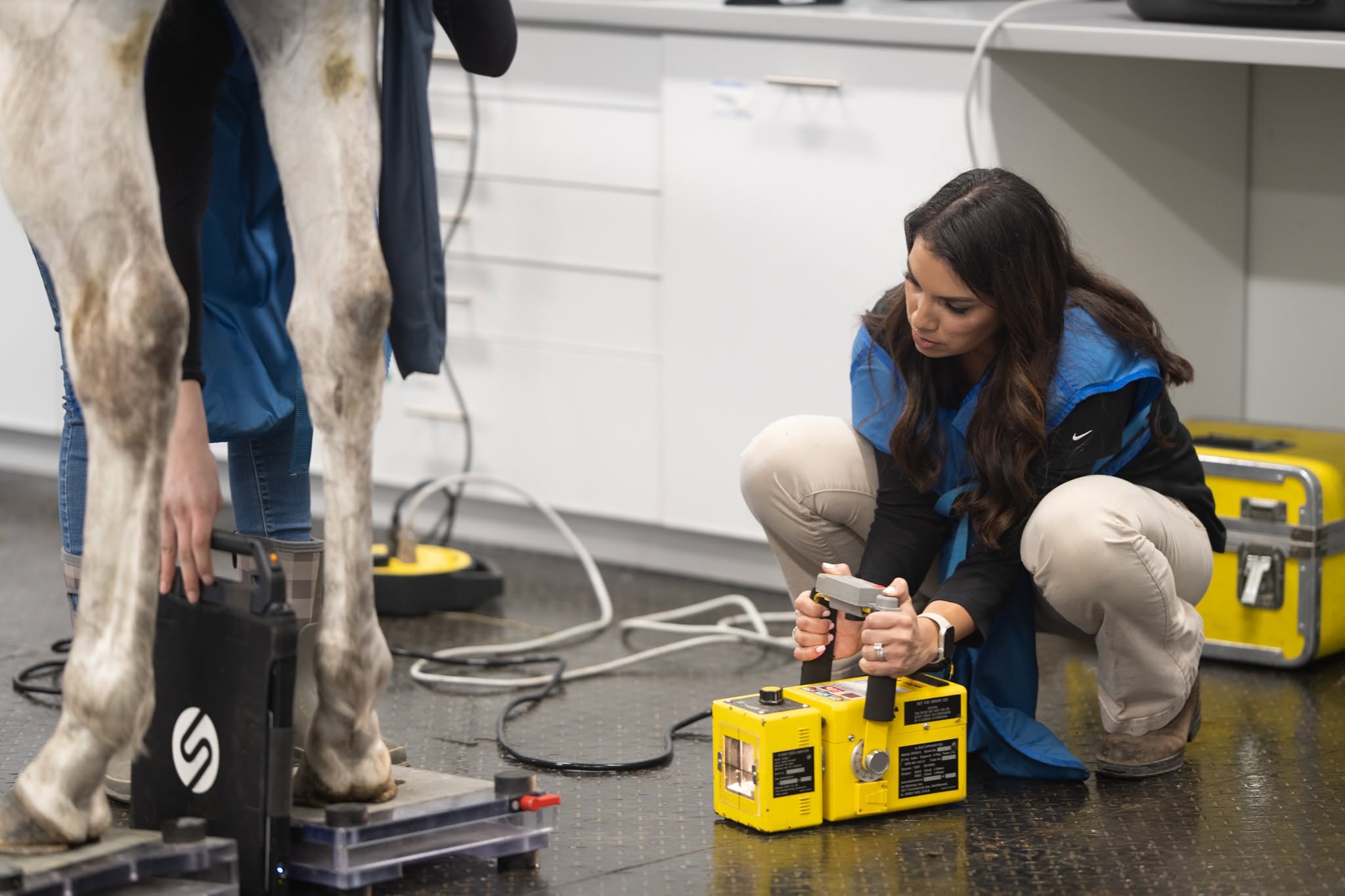 Farrier + Vet Collaboration