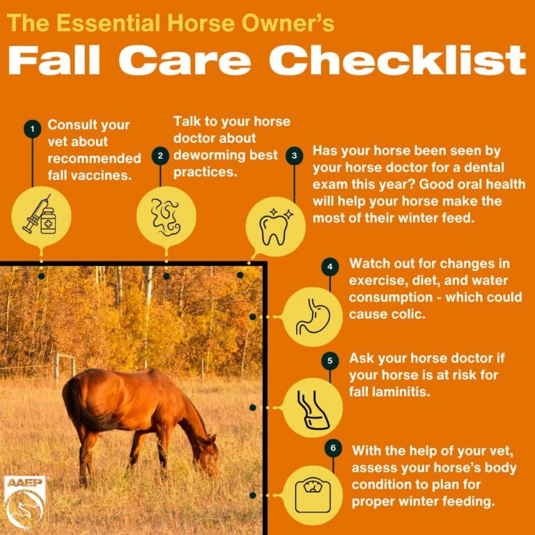 Fall Health Tips and Winter Preparedness