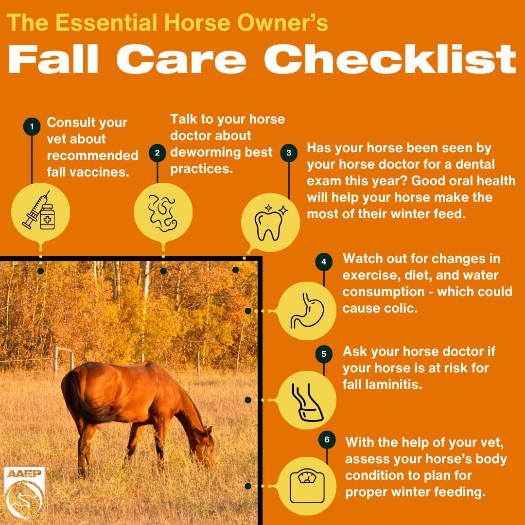 Fall Health Tips and Winter Preparedness